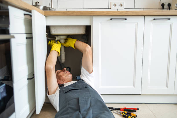 Best Clogged Drain Plumber  in Houston, PA